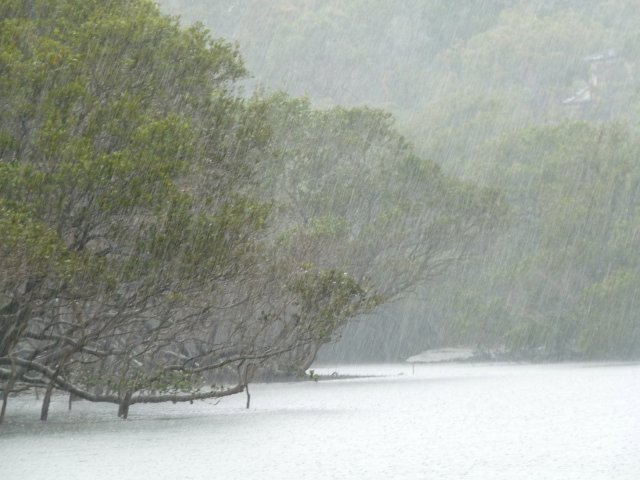 Lane Cove River